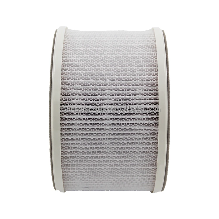 High Efficiency Hepa Carbon Activated Cartridge Air Filter Element For HomeLabs HME020020N