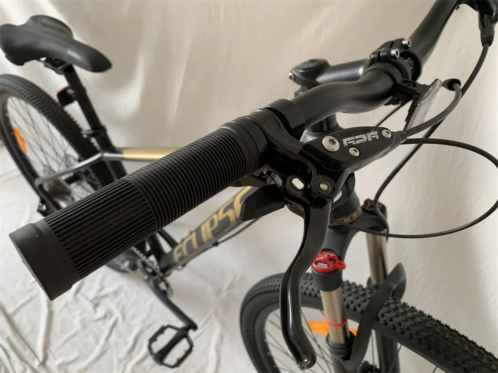 29 Inch Alloy Mountain Bicycle Oil Brake Bike 12 Speed Bicicleta