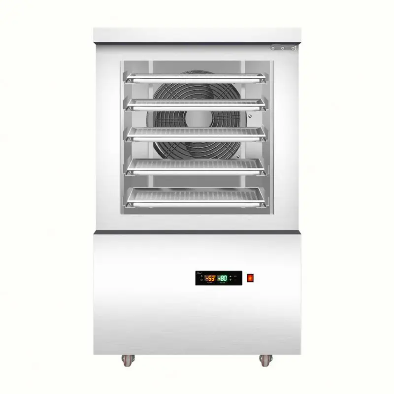 Hot Sale Kitchen Refrigeration Freezing Equipment Air Cooling System Blast Chiller Instant Shock Freezer For Ice Cream
