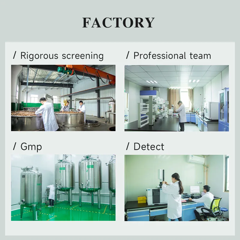 1000ml Volufiline Smilax Oil Smilax Scobinicaulis C.H. Wright Essential Oil For Strengthen Body