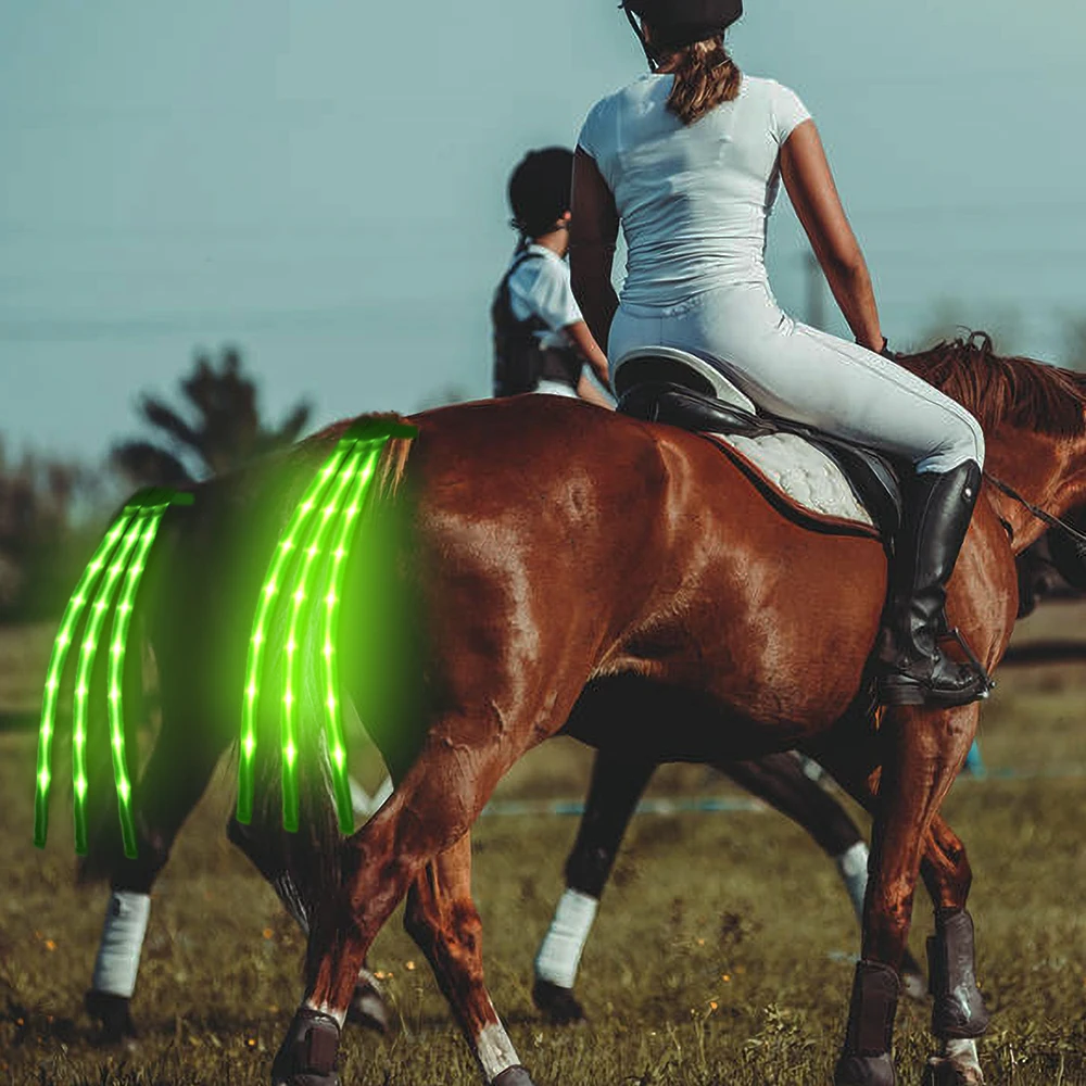 2021 hot selling Bright LED flashing Horse Tail light  Lamp