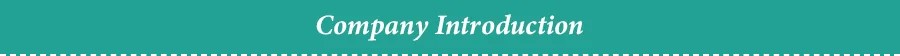 Company Introduction.png
