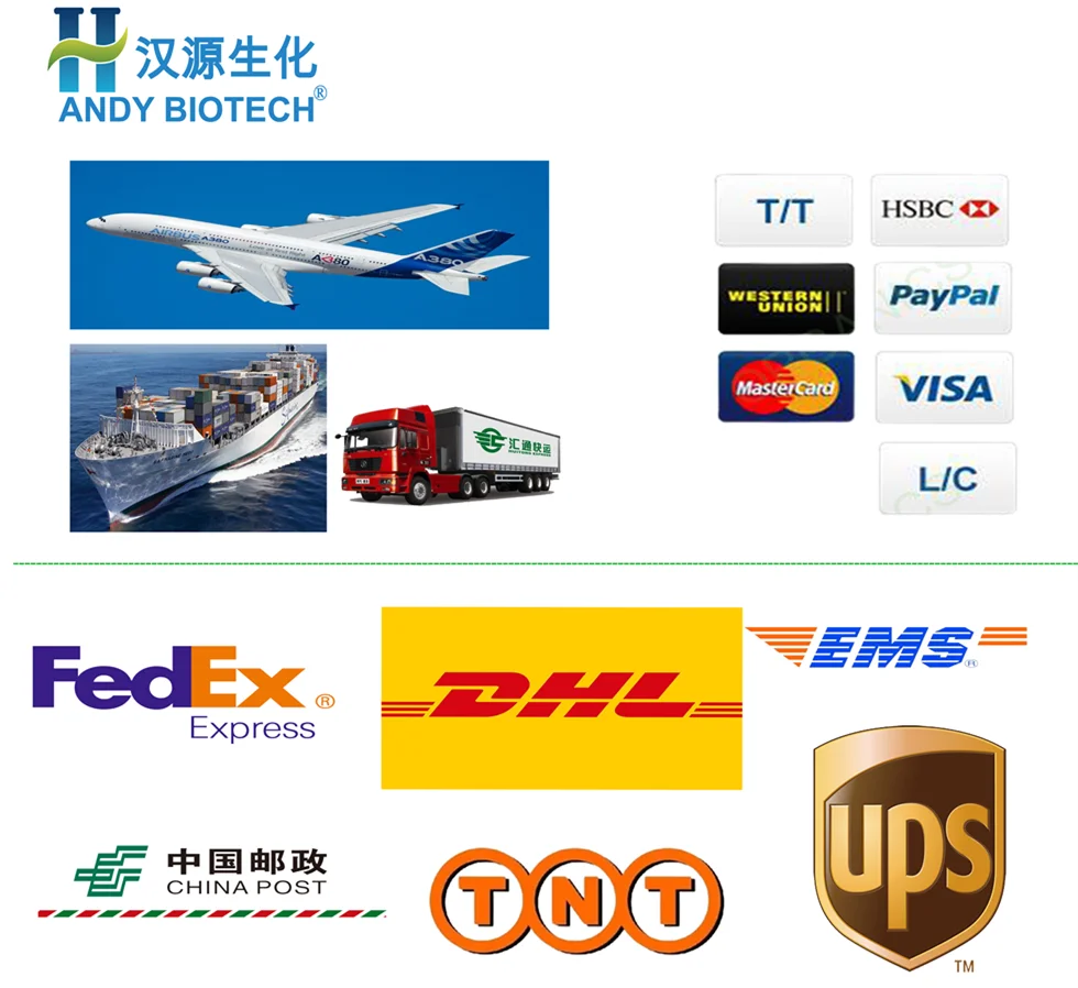 Top Quality Radix Aucklandiae Extract Costus Root Extract Powder