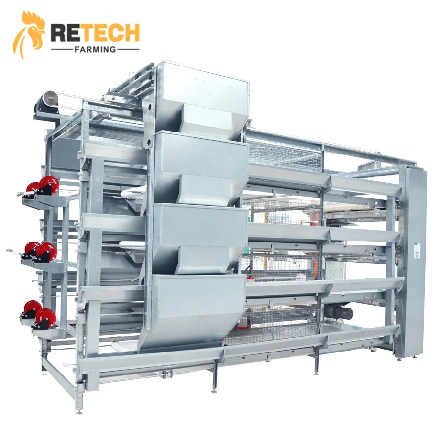 Modern Design Automatic Day Old Layer Chicks Cages System