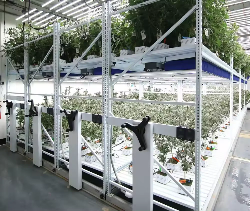 growing rack