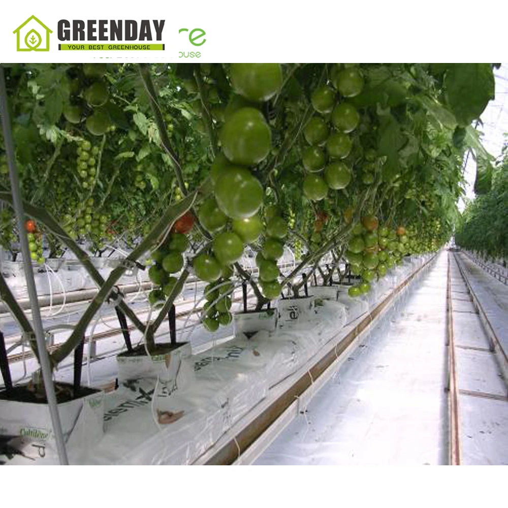 
GREENDAY Inside/ outside shading system agricultural film greenhouse 