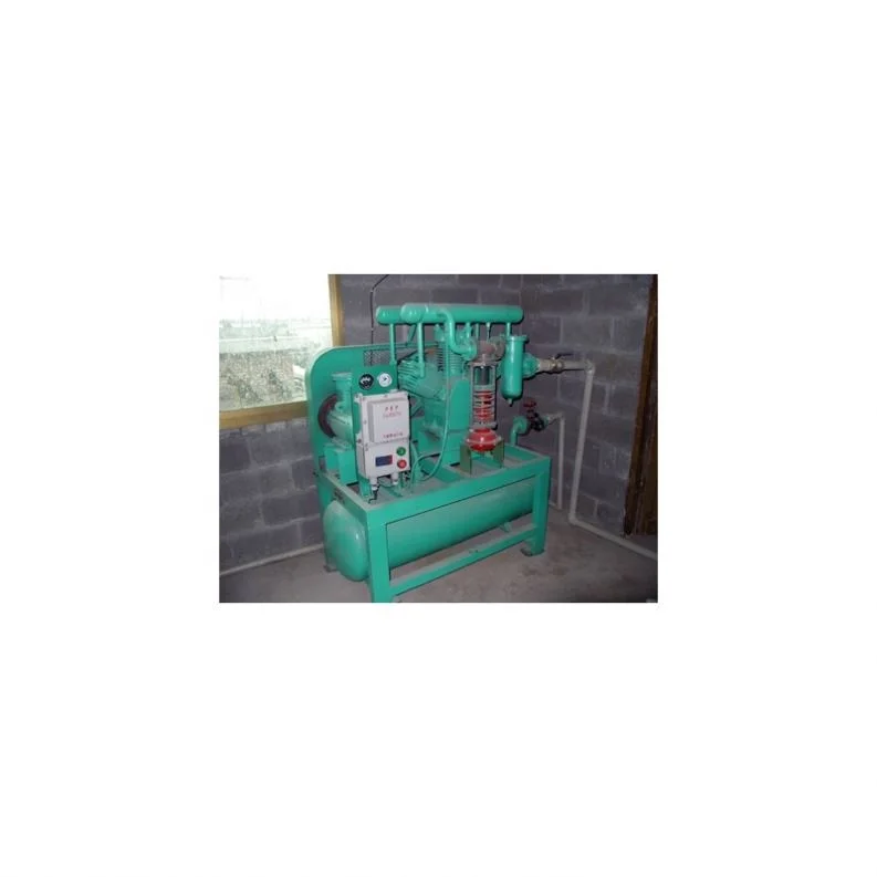 Industrial Compressors Factory Manufacturer Lubrication Style Cng Compressor For Natural Gas