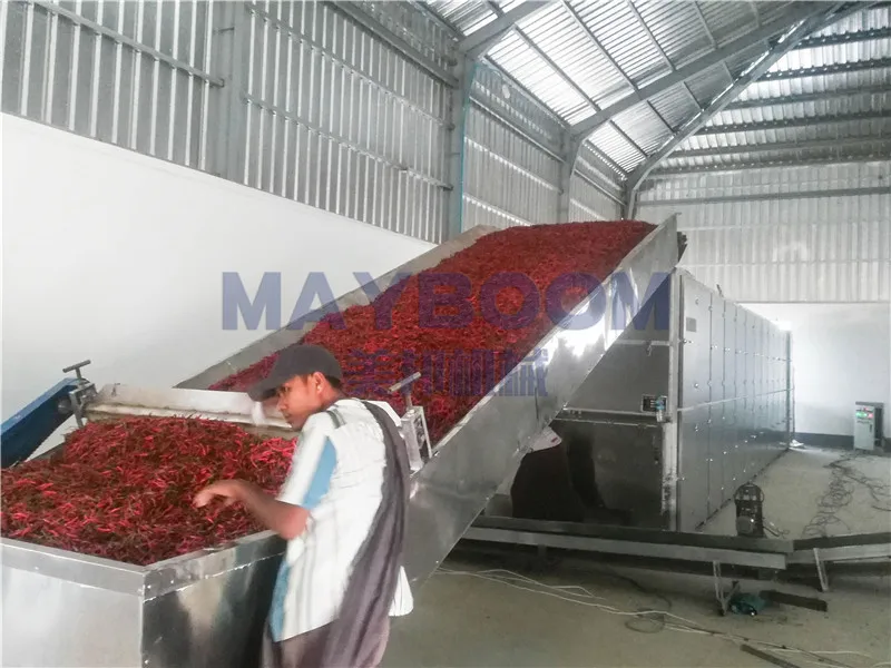 Industry hot air cardamom conveyor dryer cardamom drying machine