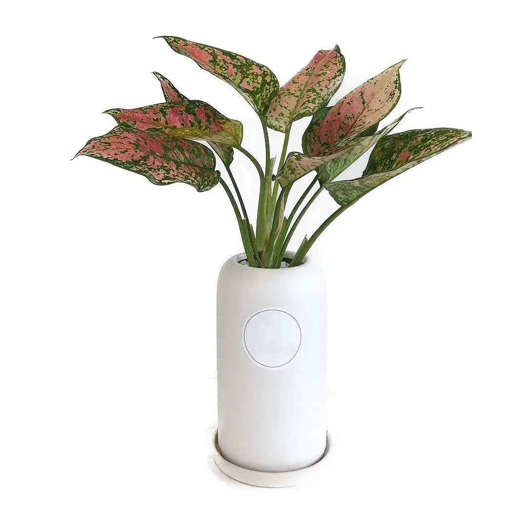 Nordic Ins Style Cheap Ceramic Flower Pots Indoor Matte Long Flowerpot