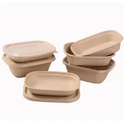 Disposable Biodegradable Oill Proof Tableware Sugarcane Bagasse Sauce Paper Plates Dishes