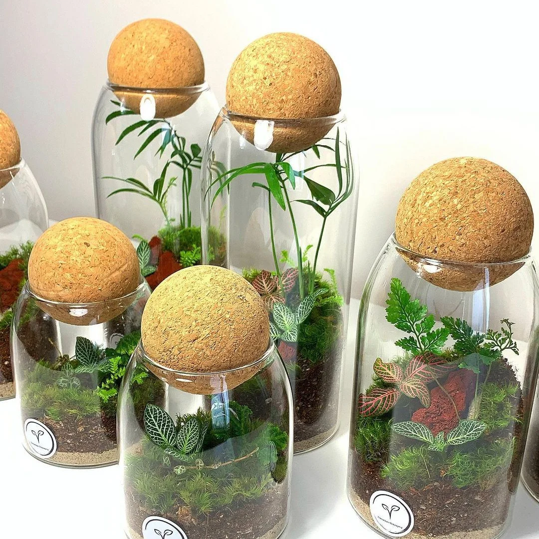 Creative terrarium hydroponic plant vase succulent pot container