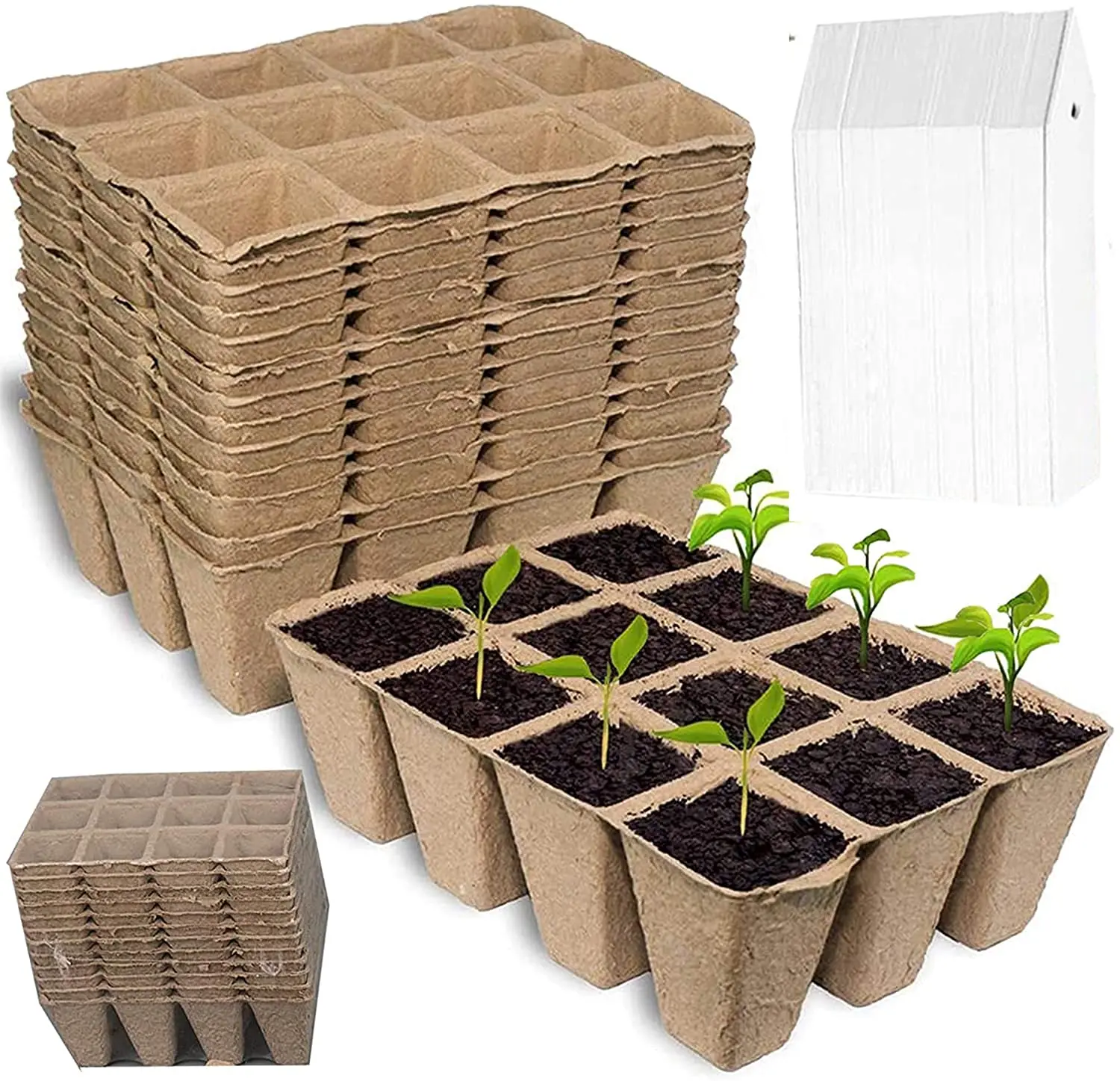 Biodegradable Recycle 12 cavity Tray Square Site Seeding Planter Potting Seeds Starter Grow Flower Plant Nursery Trays