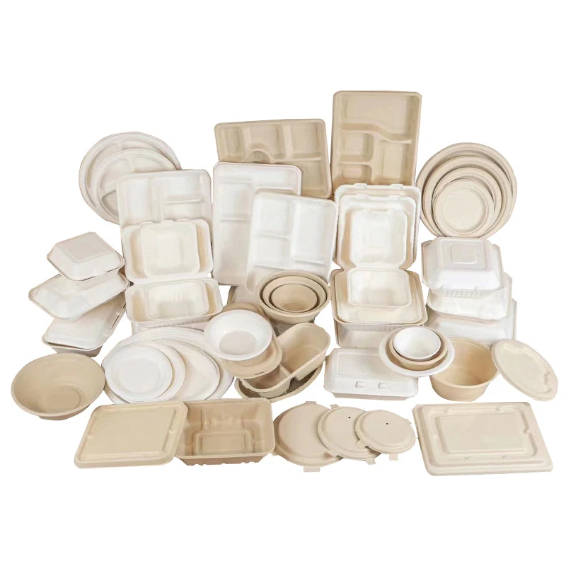 Custom Sealable Meal Pulp Tray Disposable Biodegradable Sugarcane Bagasse Food Tray Packaging