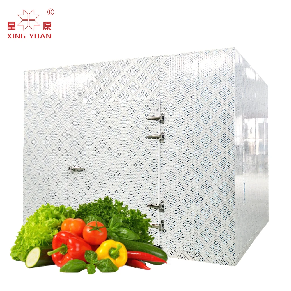 Good Quality commercial equipment cold room 600l storage automatic for chicken meat cold storage room