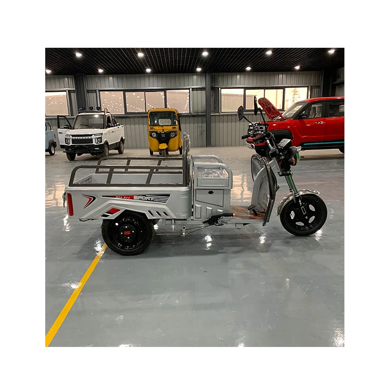 New Design Motorized Tricycles Single Version Bike 3 Whee Electric Cargo Tricycle 60V Electric Bicycle Three Wheel 28 Inch