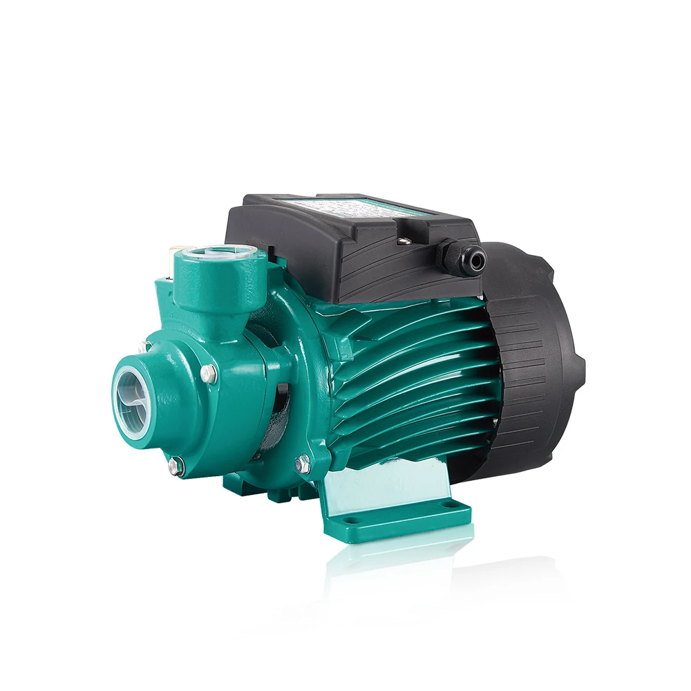 Top manufacturer high quality 100% copper wire small mini cheap domestic vortex electric water pump for home use