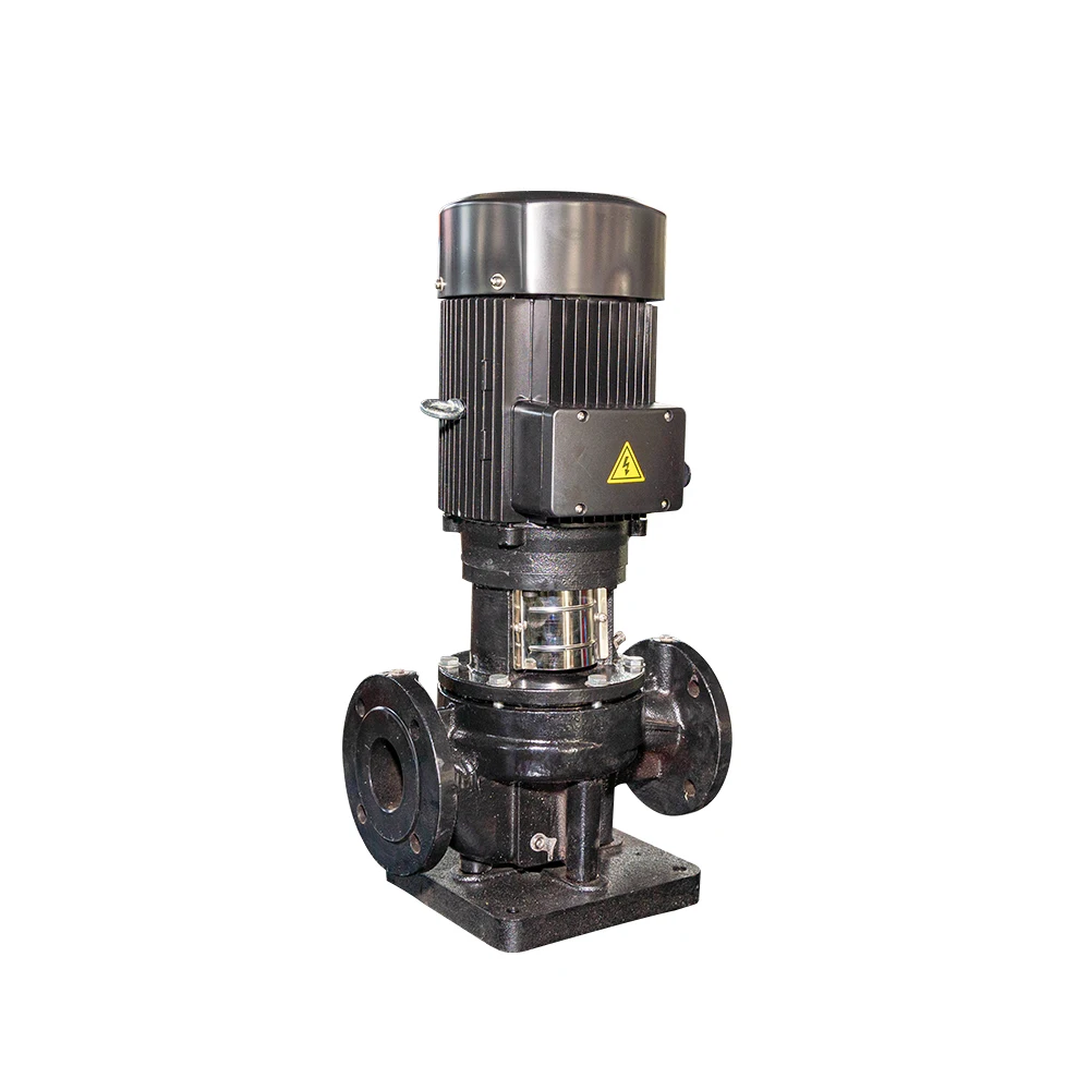 High Efficiency 5KW Single Stage Cast Iron Pipeline Circulation Pump Food Marine Multistage OEM Customizable