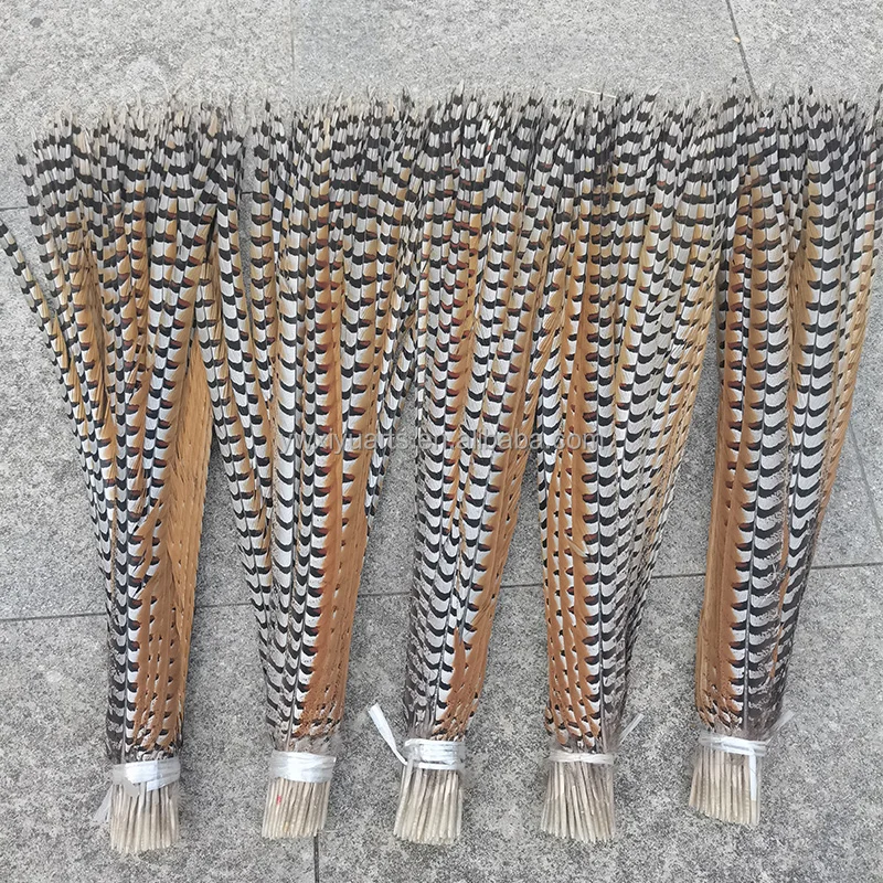 Natural Pheasant Feathers 10-160 cm Long Reeves Pheasant Tail Feathers for Carnival