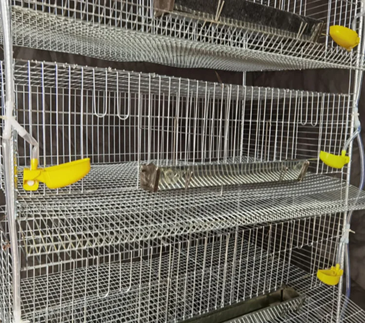 Metal wire commercial quail broiler layer cage breeding cage with drinker feeder full accessories