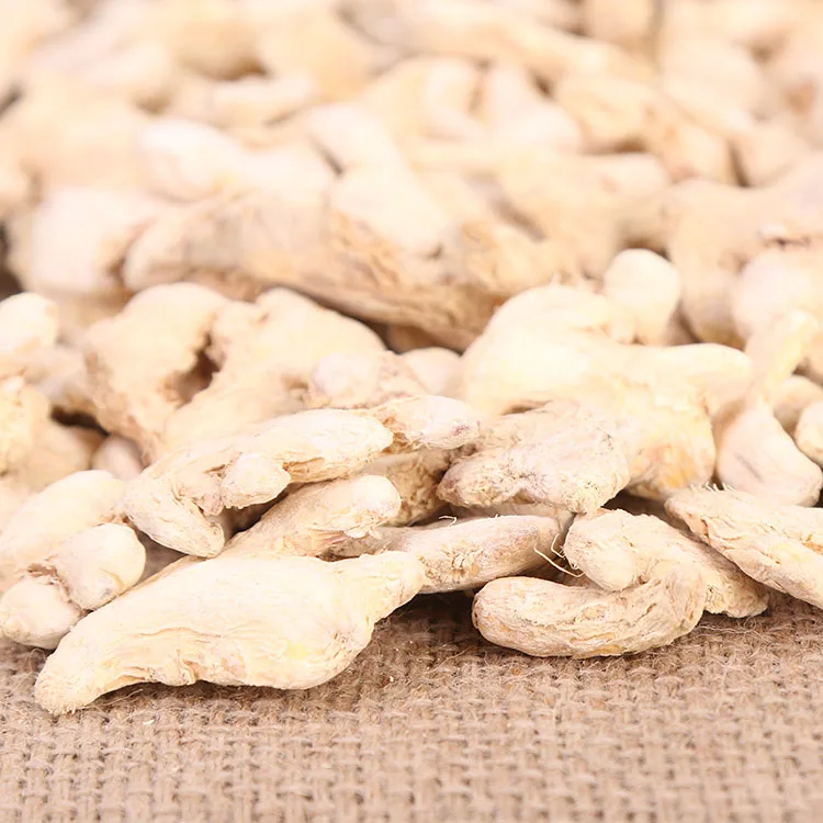 Strong ginger flavor spice ginger seeds roots quality organic dry ginger