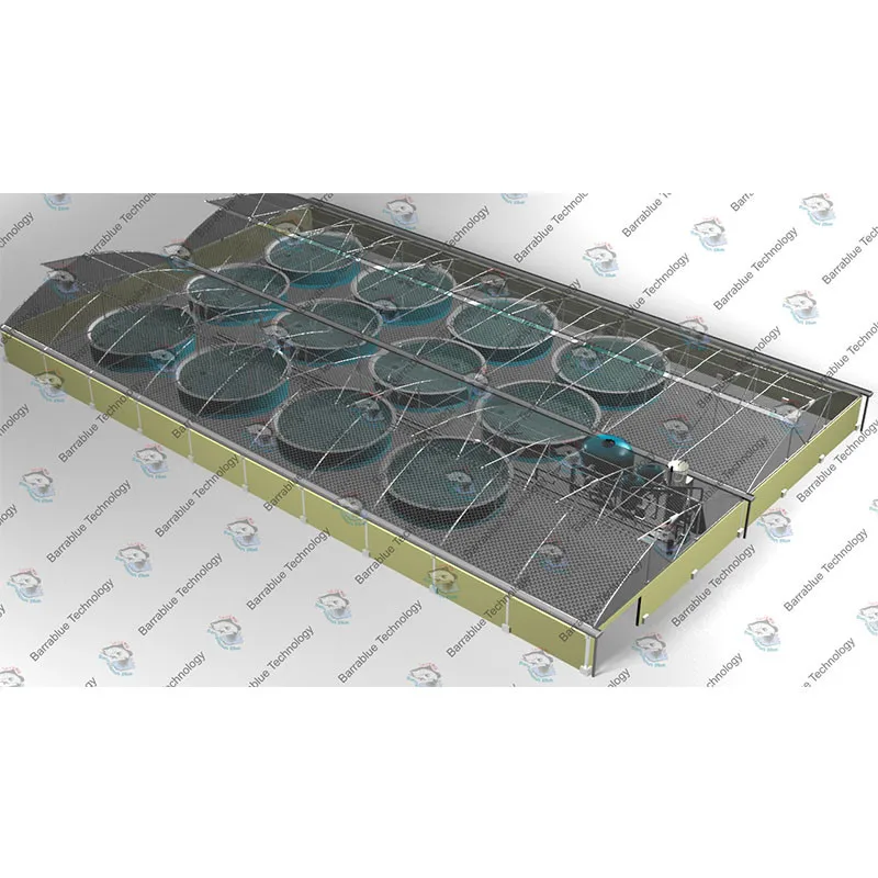 Recirculating Aquaculture RAS System Ras Fish Farm Filter System