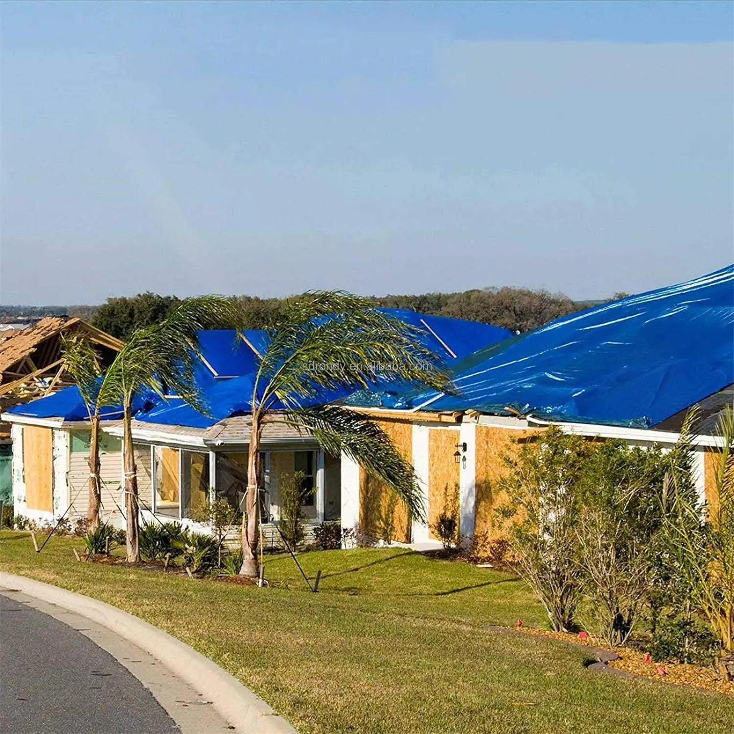 Light Duty PE Tarpaulin HDPE Woven PE Clor  Tarpaulin With LDPE Coating PE Tarp For Ethiopia Korea