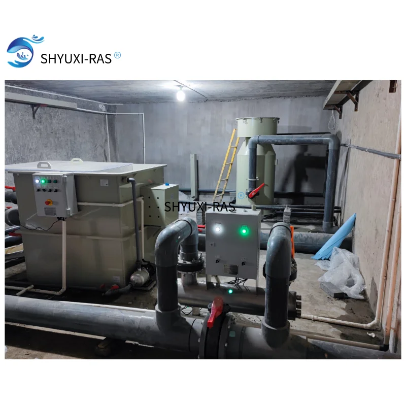 SHYUXI RAS  Circulating aquaculture equipment  for seawater portunus breeding farm