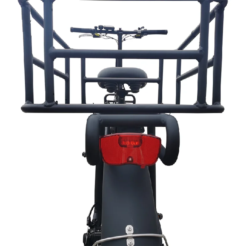 2-wheeler cargo bike electric double battery 40AH e bike big rear rack e-cargo family e bicycle 1000w