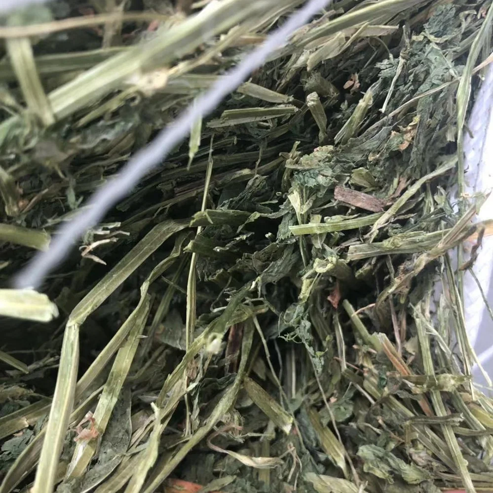 
American Good Quality Alfalfa Hay Timothy Hay Oaten Hay for Sale 