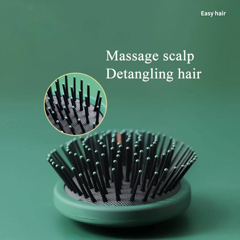 Household Salon Hair Comb and Curly Hair Brush Set Wet and Dry Massage Detangling Hair Brush for Women