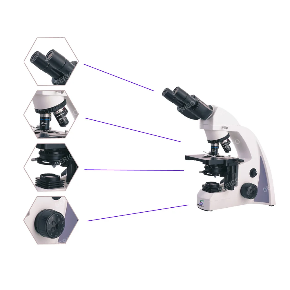 SERICO Laboratory Hinged Type Binocular Biological Microscope  Model N-300M