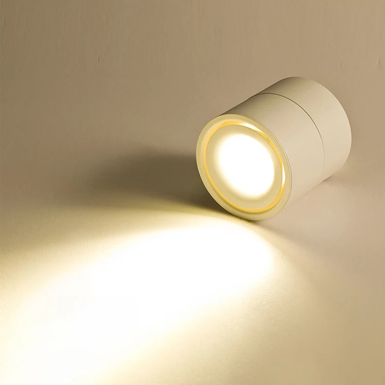 Commercial Modern Spot light Angle Adjustable Surface Mounted COB 8w Ceiling LED Spotlight