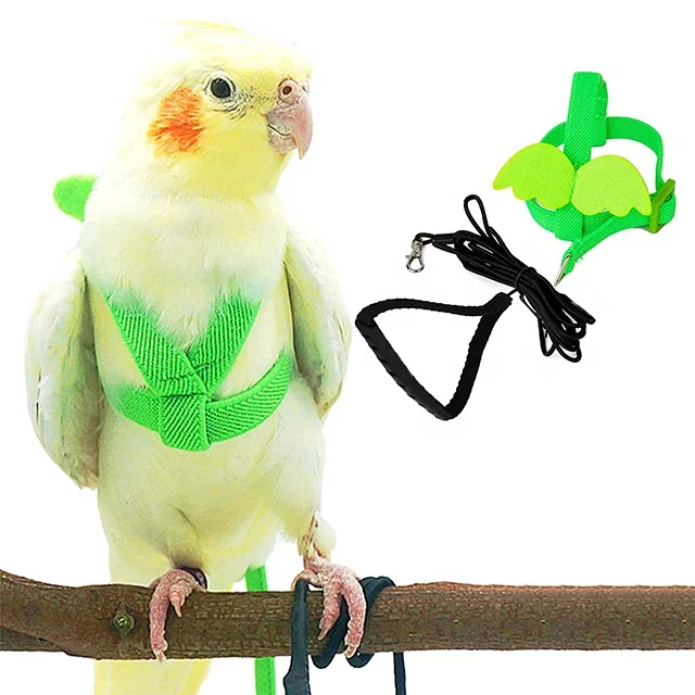 Canton Fair New Arrival Adjustable Nylon Parrot Collar Bird Harness