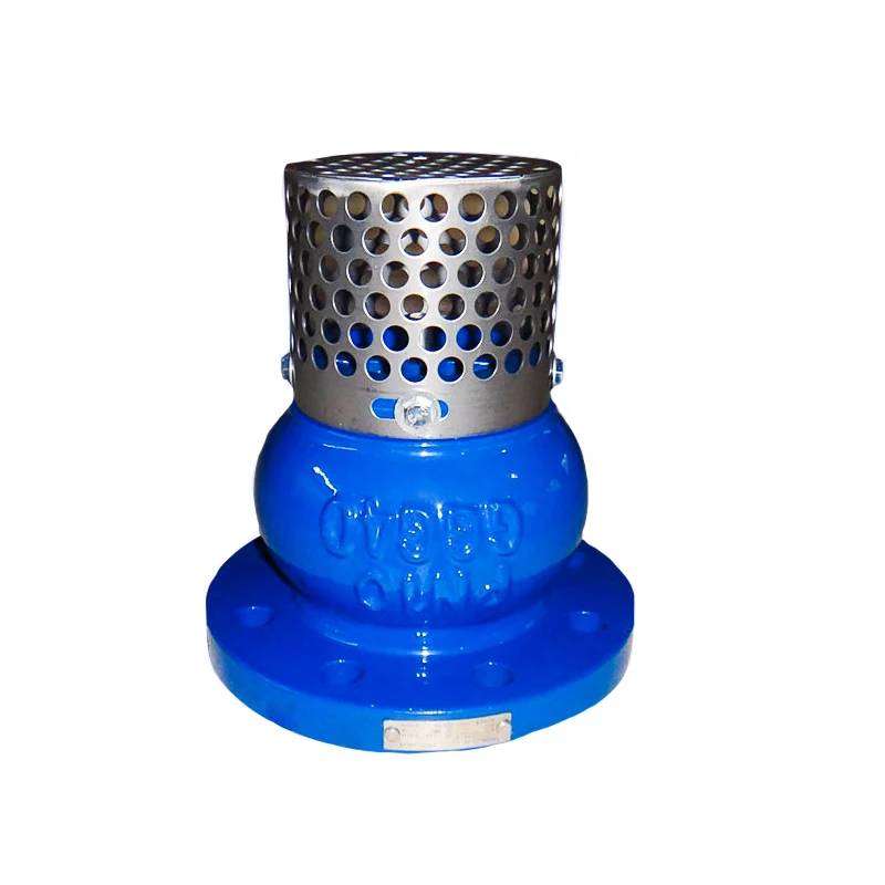 Wholesale High Quality Industrial 2 1/2 Inch Ductile Iron Flanged Foot Valve With Filter