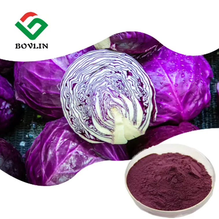 Фиолетовый капустный сок порошок 99% водорастворимый растительный экстракт Красной капусты
