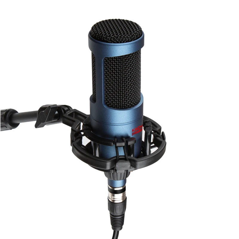 Hot Selling 3-5V 50Hz-16Khz Heart-Shaped Directivity 24Dba (Iec 581-5) Studio Microphone Recording Wholesale In China