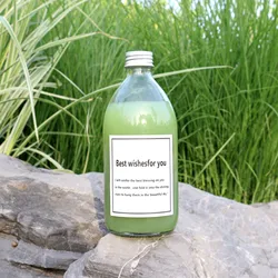 Clear 500ml Boston Round Water Juice Voss Drinking Metal Top Cheap With Metal Lids Juicing Bottle Glass Juice Bottles BJ1