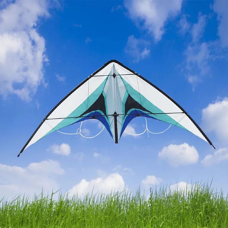 china factory dual line power kite sale delta kite from the kite factory