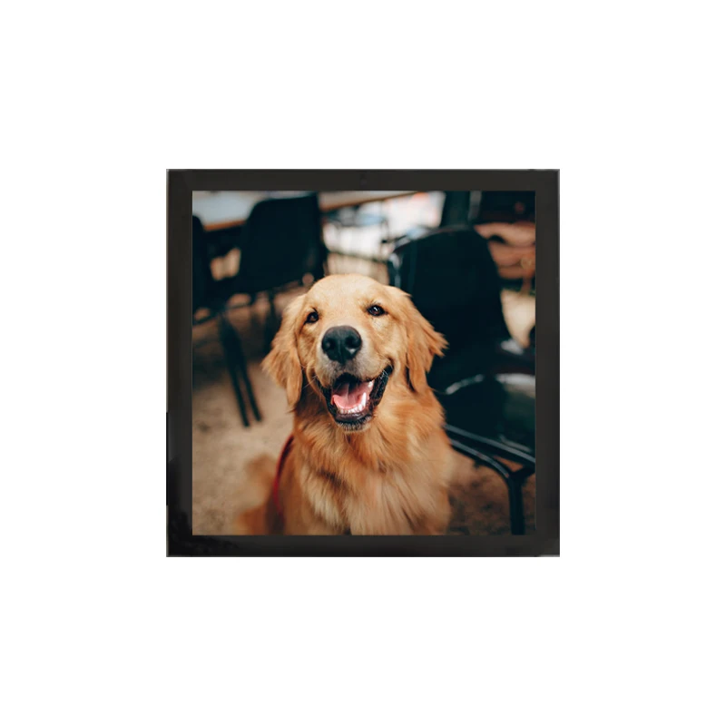 3.95 inch OEM ODM square display 480*480 SPI and RGB888 interface TFT LCD display