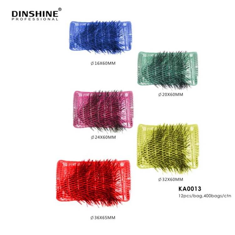 Dinshine New Product Plastic Mesh Magnetic Hair Rollers