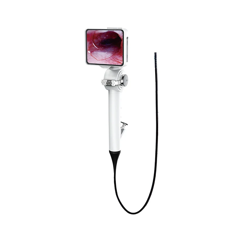 Cheap Price Veterinary Endoscope Camera Multifunctional Flexible Endoscope for ENT/Cystoscope/Bronchoscope