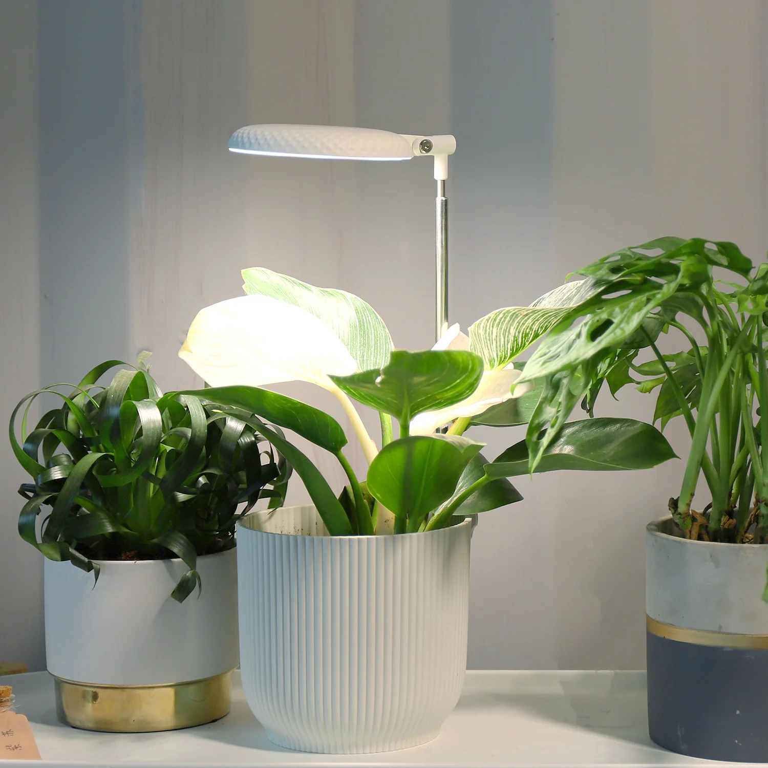 LED Planter mate for indoor plants Ideal LED grow light for white flower pot plants Modern Garden planter indoor home garden