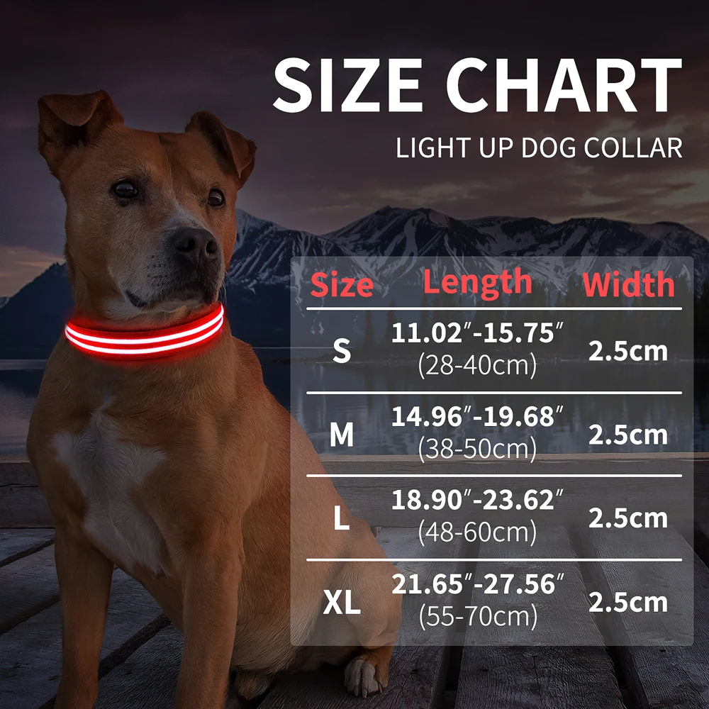 Fashion Glow In The Dark Dog Safety Pet Devices at Night LED Flashing Dog Necklace Two-Line Optical Fiber Dog Collars Light