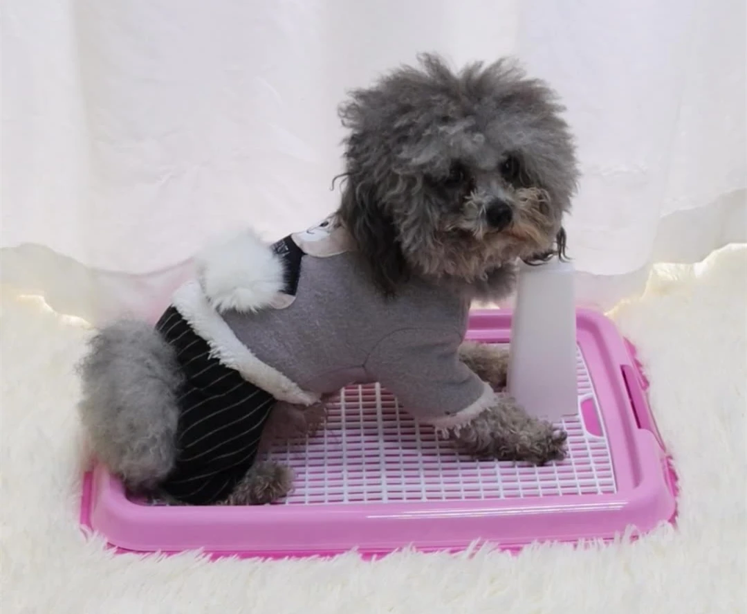 Wholesale cat toilet trainer pet dog toilet portable potty trainer dog mat toilet