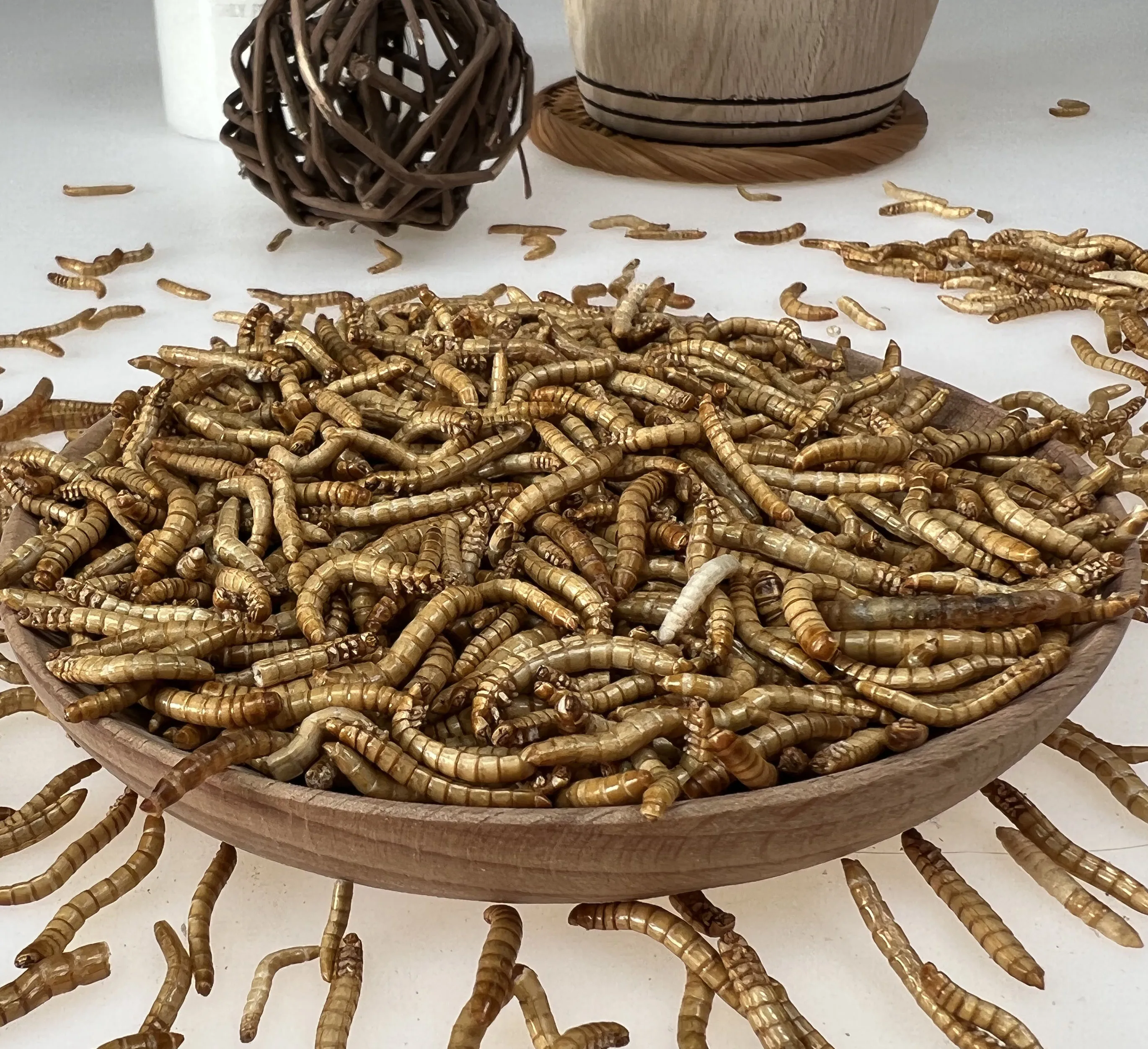 Натуральный МД Mealworm SD mealworm для куриных птиц и других маленьких домашних