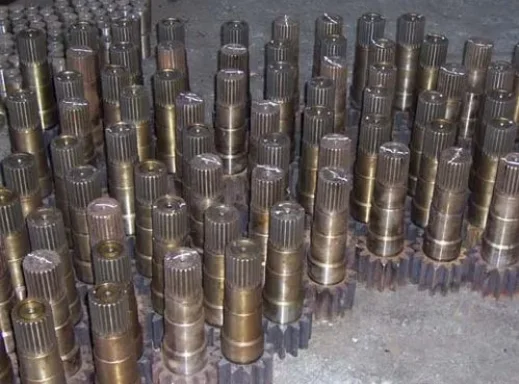 Speed reducer input and output shaft