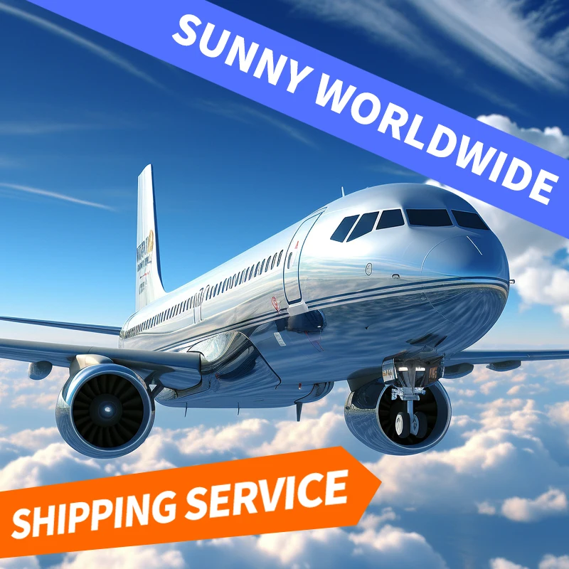 Swwls  professional logistics company air shipping cargo ddp ddu  freight forward from china to France