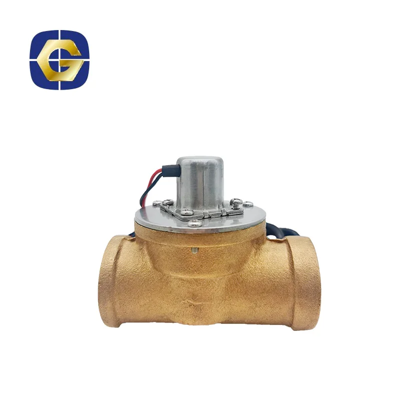 AC/DC Self-Hold Bistable Solenoid Valve for Waterfall Shower Latching Pulse Control OEM Customizable General Application