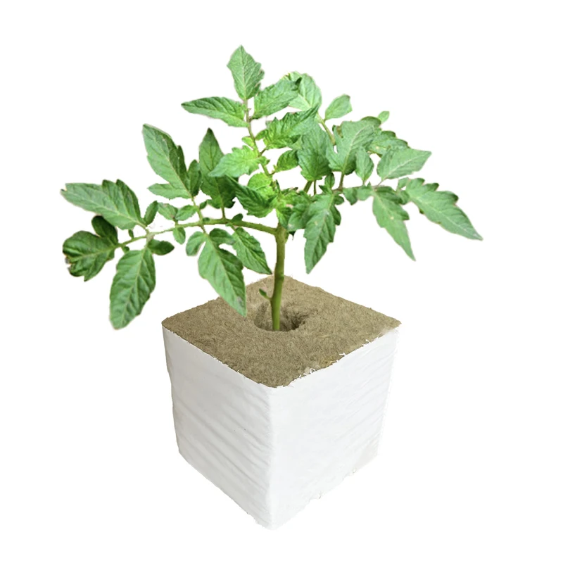 Manufacturers Wholesale Delivery Of Fast Rock Wool Cube Agricultural Rock Wool Planting