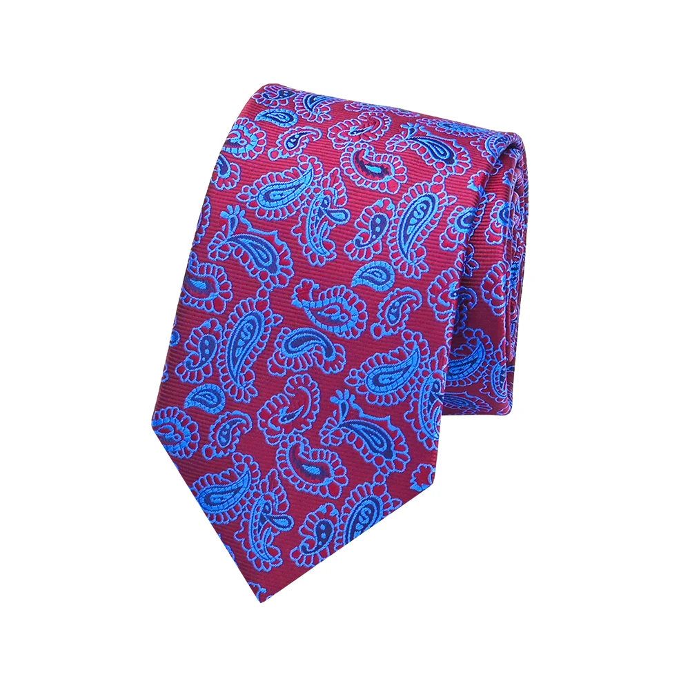 YiLi Jacquard Handsome Microfiber Polyester Woven Paisley Import Tie